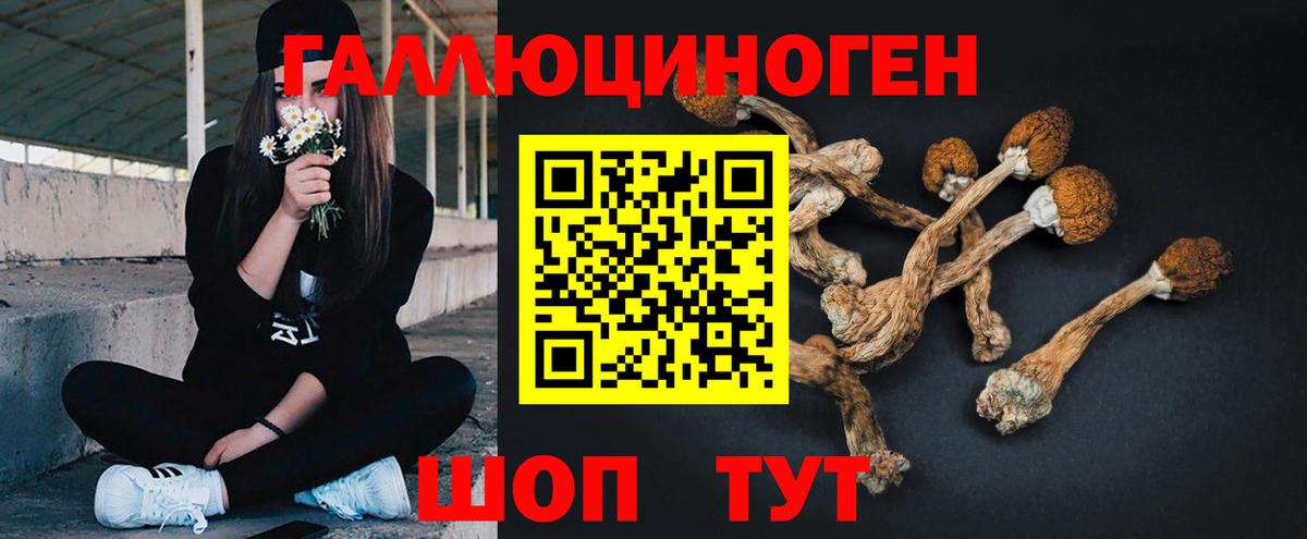 Шахты  Галлюциногенные грибы Cubensis  Вход с VPN 