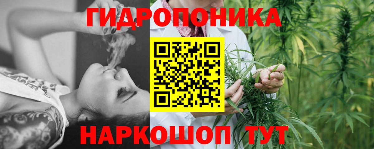 МАРИХУАНА план Шахты
